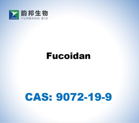 CAS 9072-19-9 Fucoidano