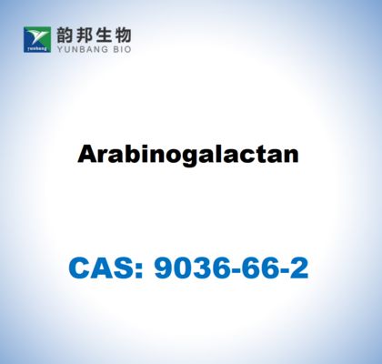CAS 9036-66-2 Arabinogalactano