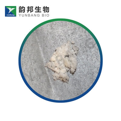 CAS 80-69-3 Reagenti per le scienze della vita con acido tartronico